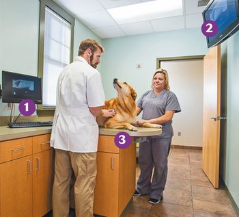 veterinary_FlintRiver2_HD_2015_450.jpg