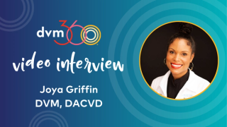 Treatment options for pruritic diseases