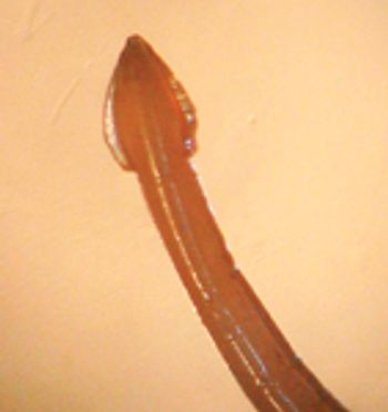 i1-510638-1384680037873.jpg