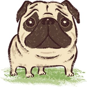 veterinary_dog_illo_pug-220px-165723130.jpg