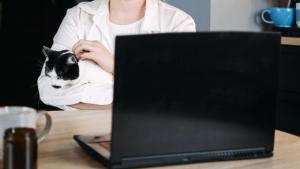 A comprehensive guide to understanding veterinary telehealth