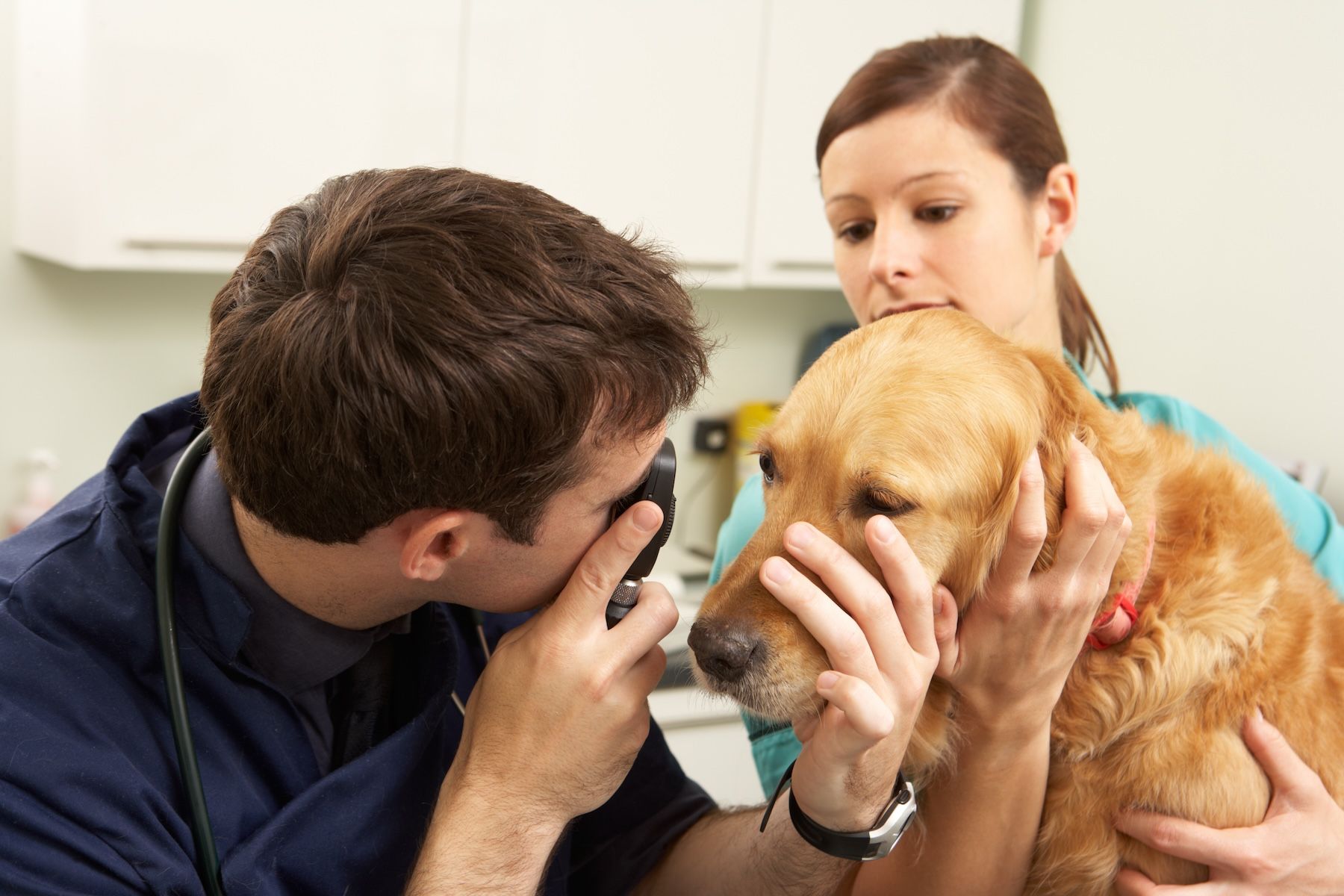 eye exam