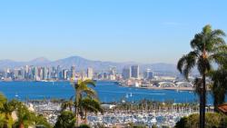 3 Must-sees from the San Diego Fetch dvm360® Conference