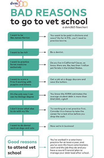 veterinary-dvm360-bad-reasons-to-go-vet-school-450long.jpg