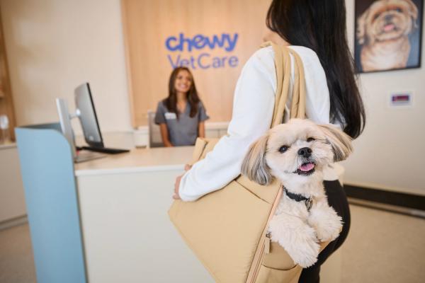 Clinic center: Chewy Vet Care opens first Pacific Northwest location in Redmond, Washington, Small Door Veterinary expands to Cambridge following Bond Vet merger, and more