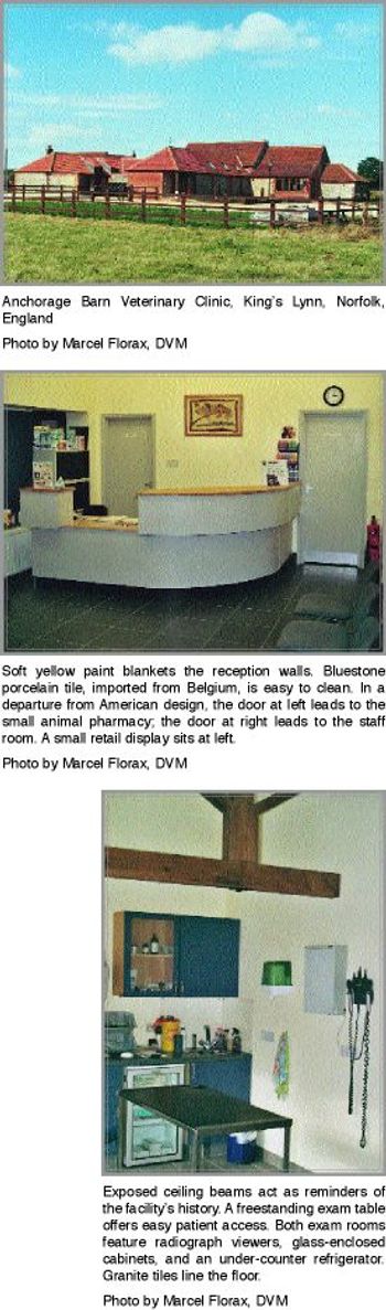 english-140517-1384783920025.jpg