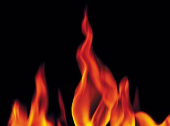 veterinary_flames_111651192-450.jpg