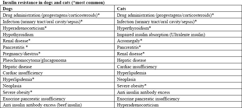 Canine sales insulin resistance