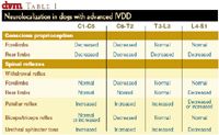 Surgery STAT: Diagnosing intervertebral disk disease