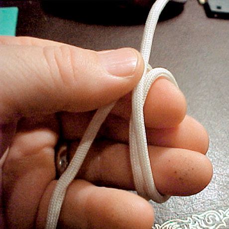 veterinary_crowe2_knot1-614983-1384500666646.jpg
