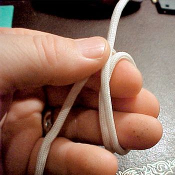 veterinary_crowe2_knot1-614983-1384500666646.jpg