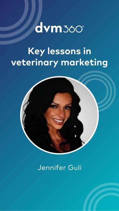 Key lessons in veterinary marketing