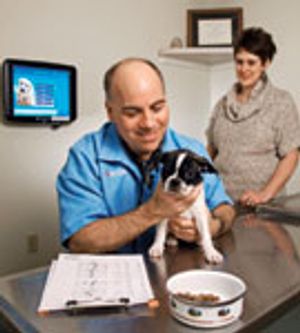 veterinary_metzger1-584379-1384519031220.jpg