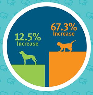 how many dogs get adopted each year