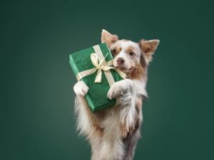 Giving back this holiday season