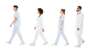 veterinary-team-walking-dvm-tech-AdobeStock_159797144_450.jpg