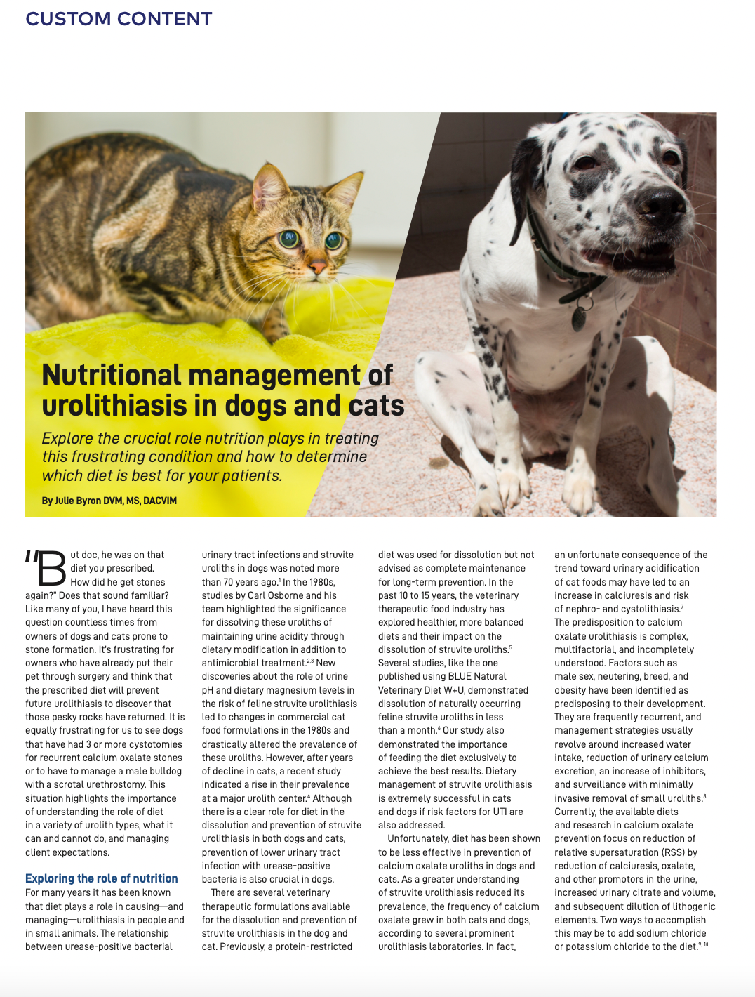 Calcium oxalate sales crystals cats treatment