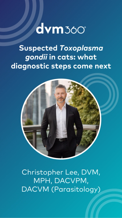 Suspected Toxoplasma gondii in cats: what diagnostic steps come next