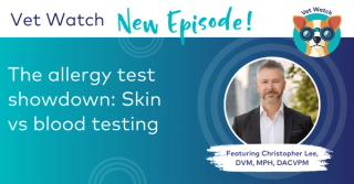 The allergy test showdown: Skin vs blood testing