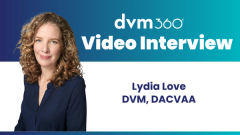 Creating safety for veterinary teams