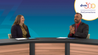 zoetis reference laboratories panel discussion pet connections