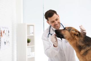 Common pharmaceuticals for treating behavior