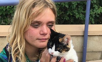 veterinary-palmer-streetclinic-image5_220.jpg
