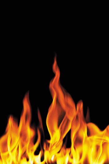 ignite220.jpg