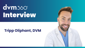 A veterinarian's vision for the next generation of veterinary professionals