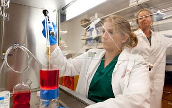 veterinary_Lindsey_Helms_Boone_StemCell1_flash-779338-1384159620378.jpg