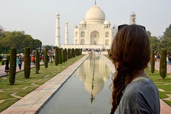 veterinary-taj-mahal-woman-hospital-designAdobeStock_159257372-450.jpg