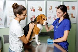 Working together to improve outcomes