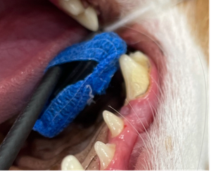 How to get picture perfect dental radiographs in less time