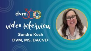 Practicing compassion and spectrum of care with clients and itchy patients