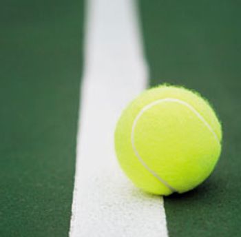 veterinary_tennis_ball_220.jpg