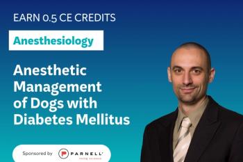 Anesthetic Management of Dogs with Diabetes Mellitus