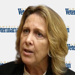 Why Are Veterinarians Prone to Professional Burn-Out?