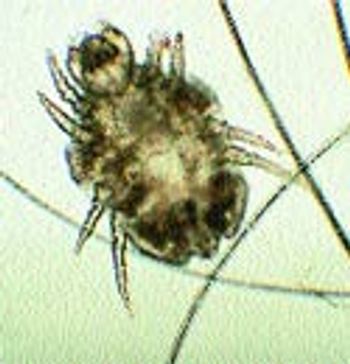 image3-88297-1384840871144.jpg