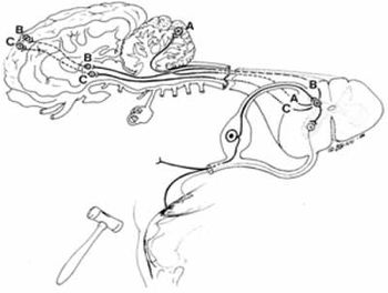 figure3-715916-1384196841928.jpg