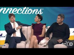EP. 6 How to recommend pet health insurance to pet owners
