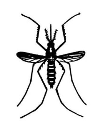 Mosquito_220px_GettyImages-97222210-1.jpg