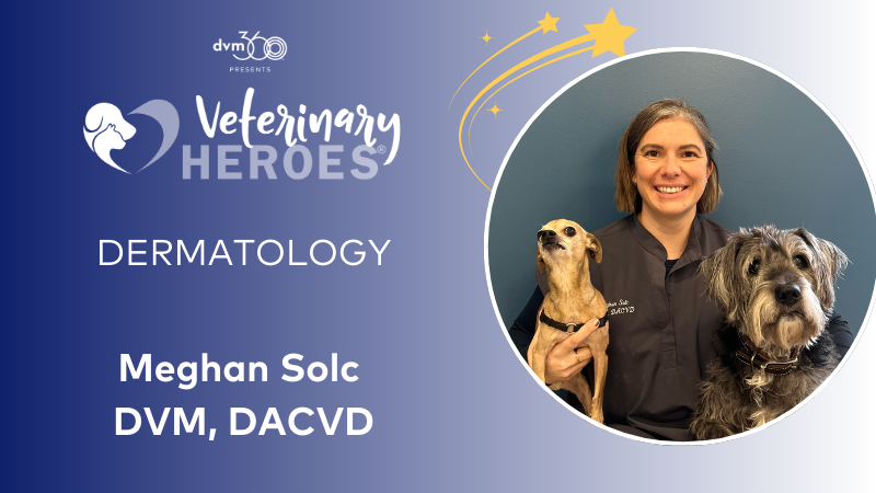 Meghan Sold, DVM, DACVD