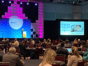 Rediscovering your love of veterinary medicine