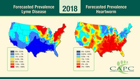 veterinary-CAPC-forecast2018-450.jpg