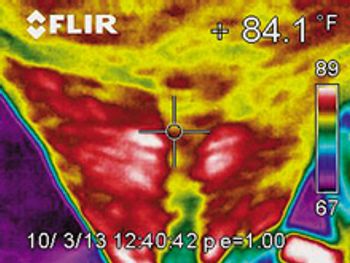 veterinary_equine_spine_thermograph2_220px-1.jpg