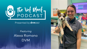 An entrepreneurial veterinarian