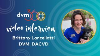 Brittany Lancellotti, DVM, DACVD