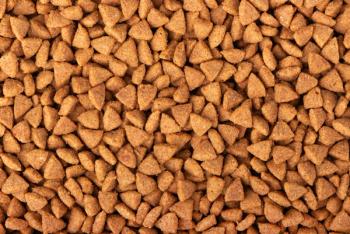 Photo:  vandycandy/Adobe Stock