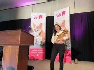 Feline orthopedic exam pearls  