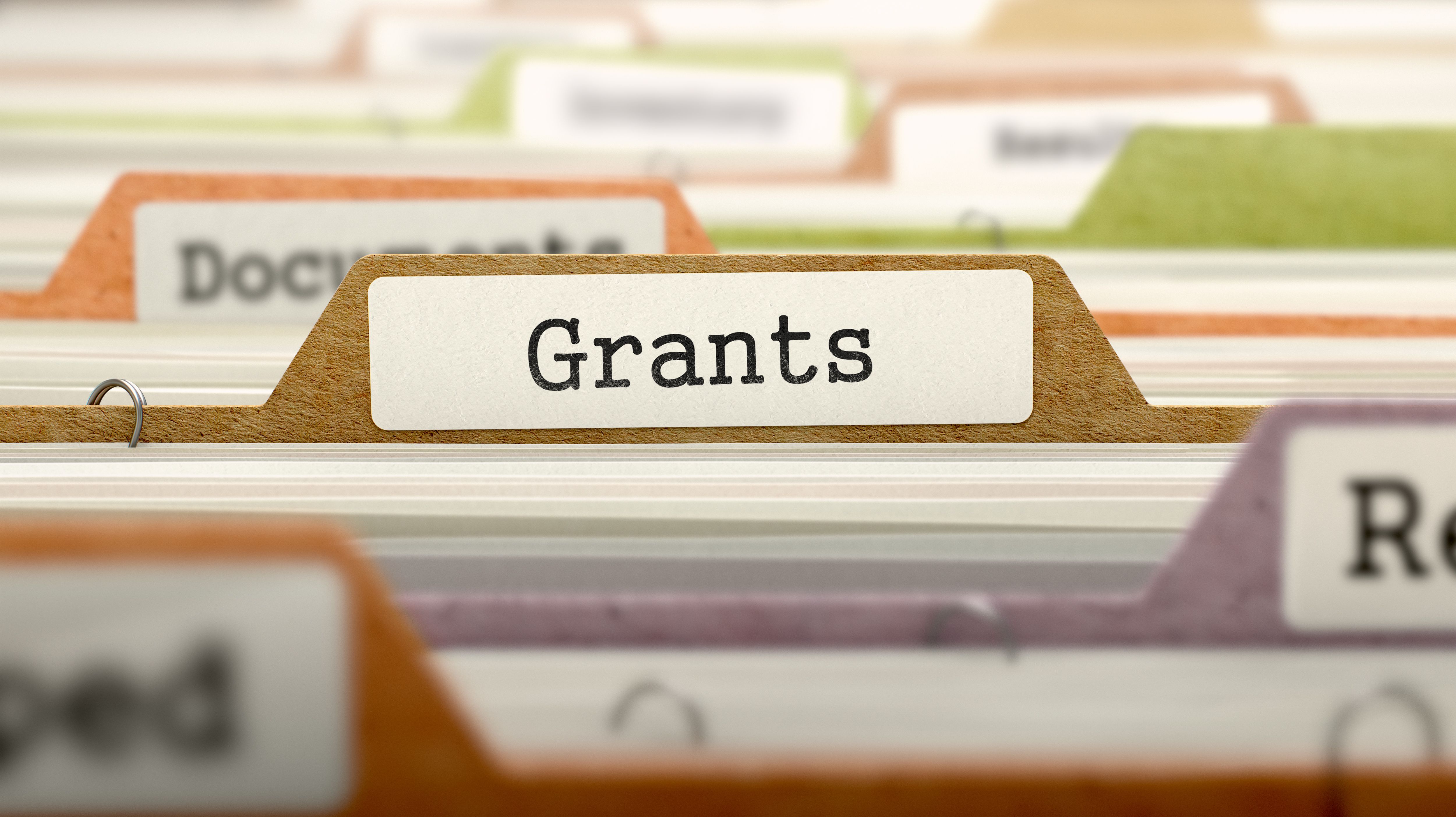 Zoetis Foundation announces nearly 5 million in grants to advance